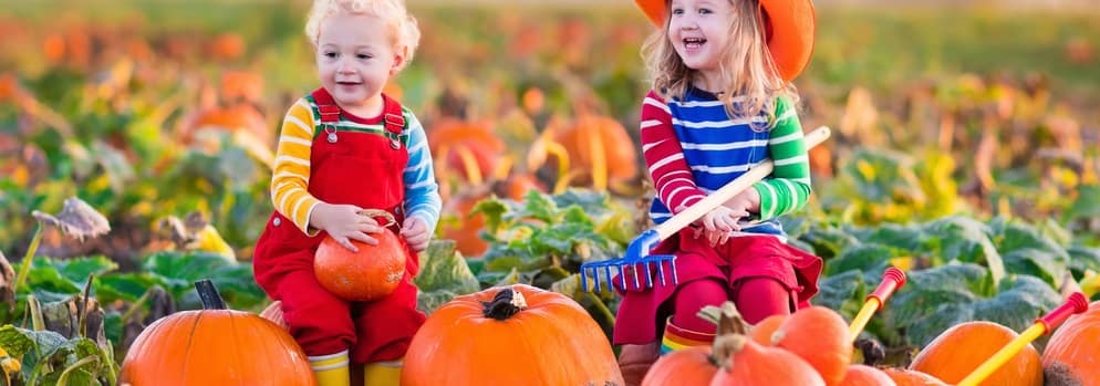 Two Children At A Pumpkin Patch