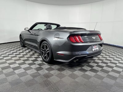 2019 Ford Mustang Base