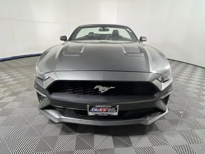 2019 Ford Mustang Base