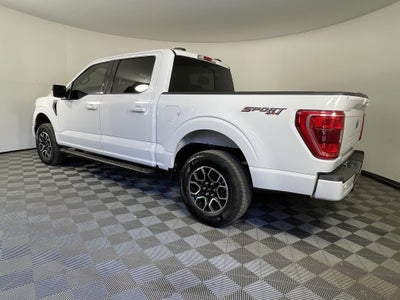 2023 Ford F-150 Base