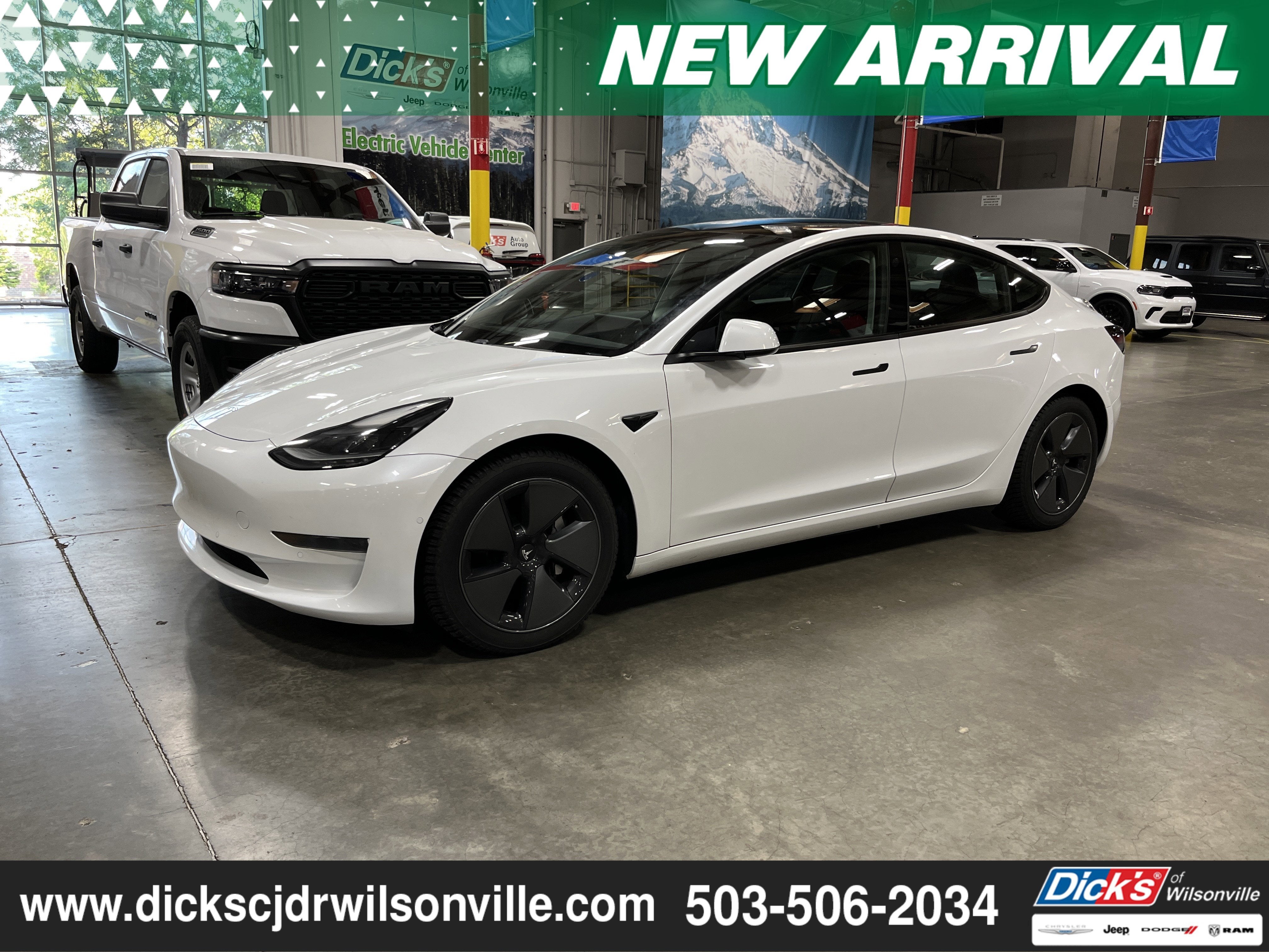 2021 Tesla Model 3 Standard Range Plus's photo
